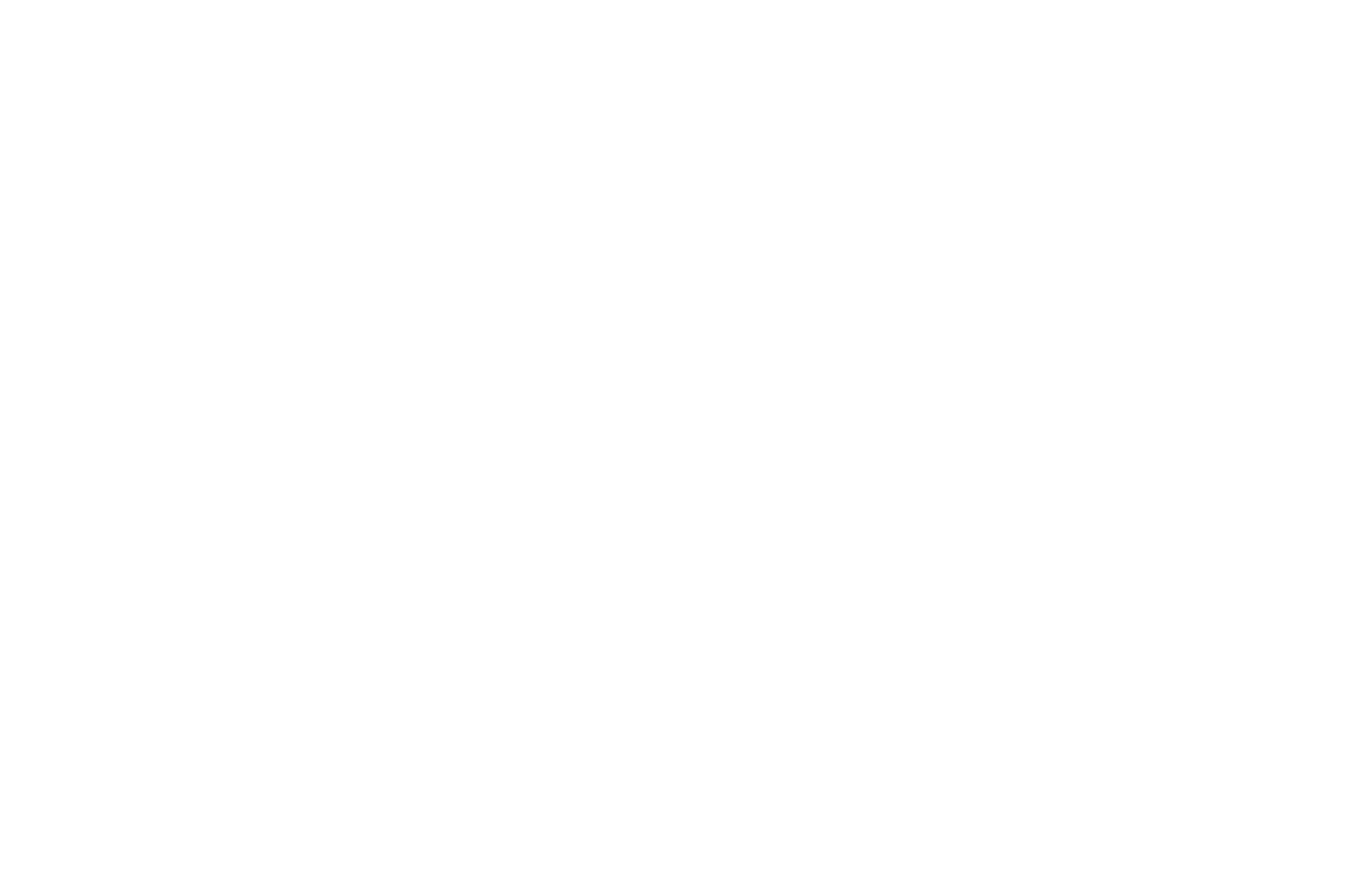 Transportes El Roi